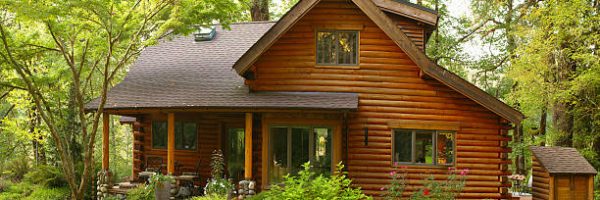 Oregon Forest Modern Log Cabin